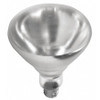 SHAT-R-SHIELD 01697W BULB HEAT LAMP SHTRPRF CLR 250W