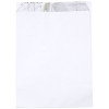 BAGCRAFT PACKAGING 300484 BAGCRAFT PACKAGING 300484 INSULATED 5.25