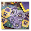 HOFFMASTER 310939 PLACEMAT 9-3/4"X14" PANSIES