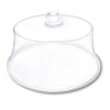 DELFIN DRD-106FK-00 DELFIN DRD-106FK-00 10" X 6" CLEAR FLAT 