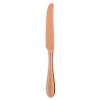 WORLD TABLEWARE INC 939 5502 KNIFE DINNER 9-1/4" SANTA CRUZ 18/10 CPR