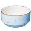 VERTEX CHINA LTS-4S BOWL BOUILLON 10 OZ LONDON TERRA SKY