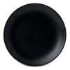 ARC CARDINAL EJ295 DUDSON EJ295 EVO JET 11-5/8" COUPE PLATE