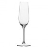 RAK PORCELAIN 1800017T THIS 6.5 OUNCE CHAMPAGNE FLUTE FROM STOL