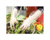 HANDGARDS 303120273 GLOVES ELBOW LENGTH ONE SIZE POLY