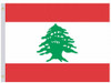 VALLEY FORGE FLAG CO 35233810 PERMA-NYL 3'X5' NYLON LEBANON FLAG