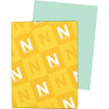 WAUSAU PAPERS 82351 PAPER,VELLUM BRISTOL,67#,GN