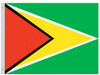 VALLEY FORGE FLAG CO 58223610 PERMA-NYL 5'X8' NYLON GUYANA FLAG