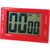 ASHLEY PRODUCTIONS 10207 ASHLEY PRODUCTIONS, INC.  DIGITAL TIMER,