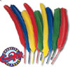 CHENILLE KRAFT COMPANY CK-4502 FEATHERS BRIGHT HUES 1 OZ BAG