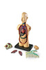 LEARNING RESOURCES 3336 MODEL HUMAN BODY ANATOMY