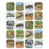 TEACHER CREATED RESOURCES 5468 SAFARI ANIMALS STICKERS