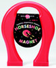 DOWLING MAGNETS DO-HS01 MAGNET GIANT HORSESHOE 8IN
