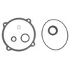 NAPA SMALL ENGINE 182698 SEAL KIT