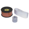 NAPA SMALL ENGINE 7083771 AIR FILTER KIT