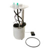 DELPHI FG0919 FUEL MODULE
