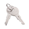NAPA SMALL ENGINE L54BPK501A KEYS - 2 0N A RING C