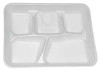 PACTIV YTH10500SGBX LIGHTWEIGHT FOAM SCHOOL TRAYS, WHITE, 5-