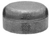 ANVIL 0318900560 CAP BLACK MALLEABLE IRON 150 3/4 IN. NPT