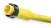 BRAD HARRISON 105002A01F060 CORDSET 5 PIN PLUG MALE