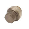CASH ACME U520LFA PUSH FIT SB END CAP 1 IN