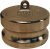 DIXON VALVE  COUPLING 250-DP-SS DUST PLUG
