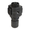 DIXON VALVE  COUPLING R73G-3R SERIES 1-COMPACT REGULATOR 3/8 