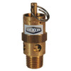 DIXON VALVE  COUPLING SV150 STANDARD SAFETY POPOFF VALVE 150PSI,1/4"