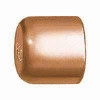 ELKHART PRODUCTS CORP 30632 CAP COPPER TUBE 1IN           