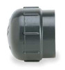 GF PIPING SYSTEMS 848-005 CAP 1/2 IN NPT PVC