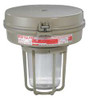 KILLARK VM1S100A2GLG HPS LIGHT FIXTURE WITH 2PDE4 AND 2PDE7