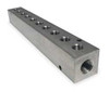 PNEUMADYNE INC M20-250-10-SS MANIFOLD STAINLESS STEEL NPT 9-1/8 IN L