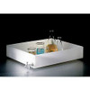 DYNALON 107304 LABORATORY TRAY 3X15X10 POLYPROPYLENE