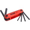 PROTO J4996CG PROTO® 6 PIECE FOLDING HEX KEY SET WITH 