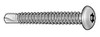 TAMPER-PRUF SCREW 490320 TAMPER SCREW PAN #10-16 3/4 L PK25