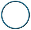 DETECTO #114 FKM FDA-Buz-XR X-RAY O-RING,DASH 114,VITON,0.1 IN.