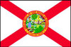 NYLGLO 140960 D3761 FLORIDA STATE FLAG 3X5 FT