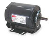 DAYTON 6XH81 50 HZ MOTOR 1/3 HP 1425 110/220 56Z ODP