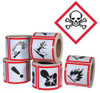 GHS SAFETY GHS1264 PICTOGRAM LABEL BLACK/RED GLOSSY PK 500
