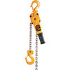 HARRINGTON LB020-20 LEVER CHAIN HOIST 20 FT LIFT 4000 LB.