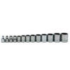 WILLIAMS WSB-13RC 3/8 DR REG SKT SET, 12-PT, 13-          