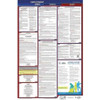 JJ KELLER 300-ID-1 LABORLAW POSTER FED/STA ID ENG 26INH 1YR