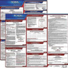 JJ KELLER 200-MI-1 LABOR LAW POSTER FED/STA MI SP 20INH 1YR