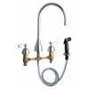 CHICAGO FAUCETS 200-AGN8AE3ABCP KITCHEN SINK FAUCET W/SPRAY