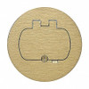 THOMAS & BETTS E97BR ROUND FLOOR BOX SINGLE-DOOR COVER BRASS