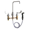 CHICAGO FAUCETS 200-AHA8-317ABCP KITCHEN SINK FAUCET W/SPRAY