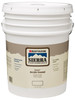 RUST-OLEUM 208041 COATING, BEYOND, SIERRA, 5 GAL, WHITE PA