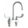 CHICAGO FAUCETS 895-317GN2AE36ABCP HOT AND COLD WATER SINK FAUCET