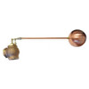GRAINGER GLOBAL SOURCING AHF200 FLOAT VALVE 2 SIZE FNPT 20 ROD L