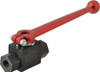 HYDAC 2060280 1/4" PIPE, CARBON STEEL STANDARD BALL VA